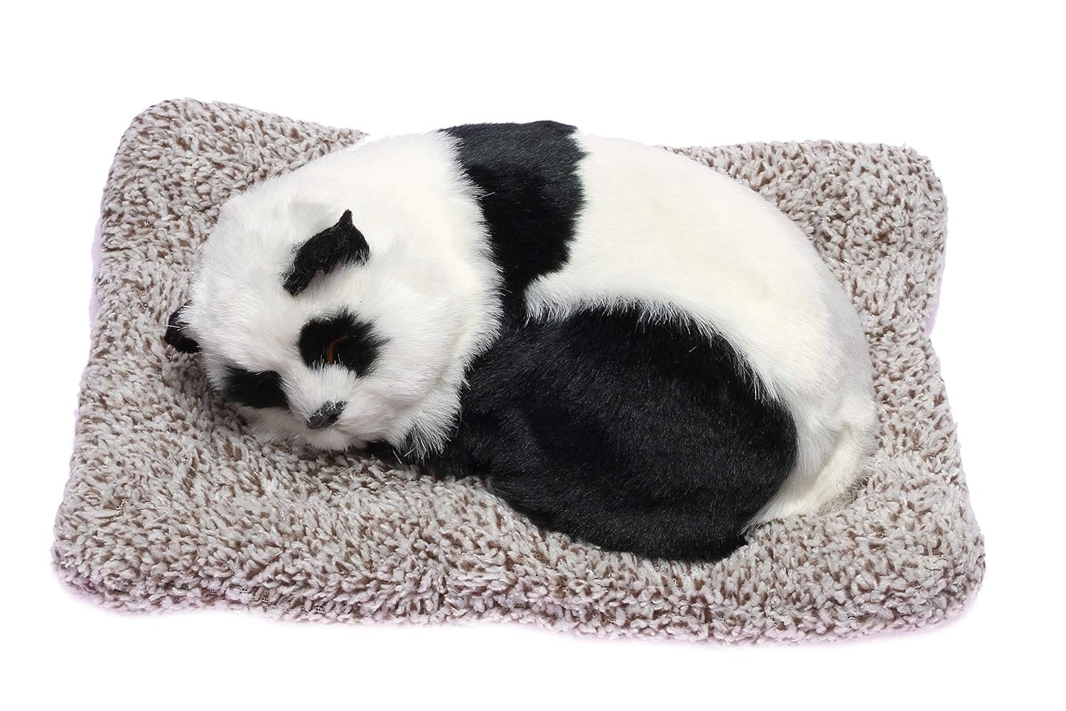 Sleeping Cute Panda-1